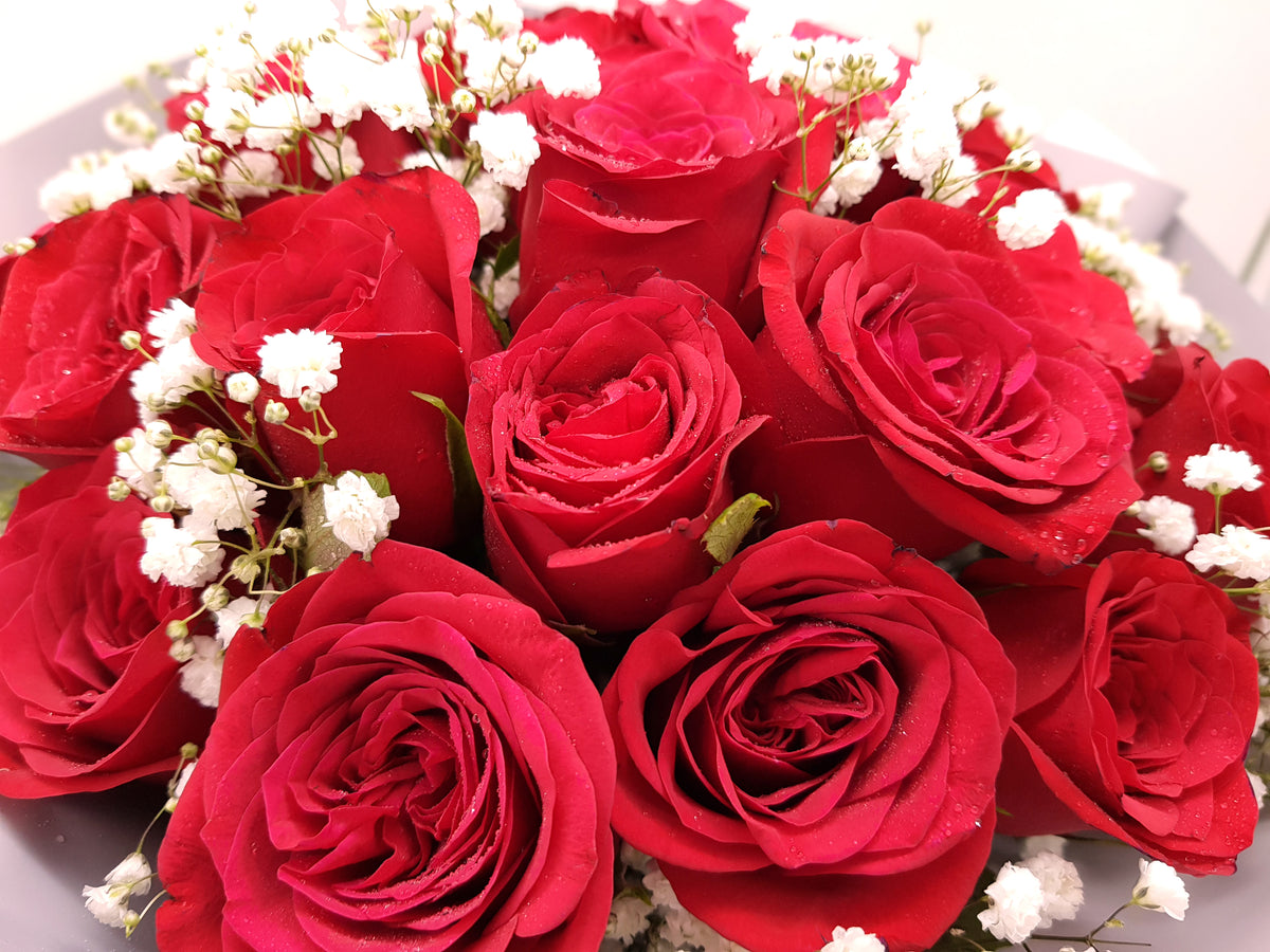 FLOWERBX 20 Red Roses Bouquet